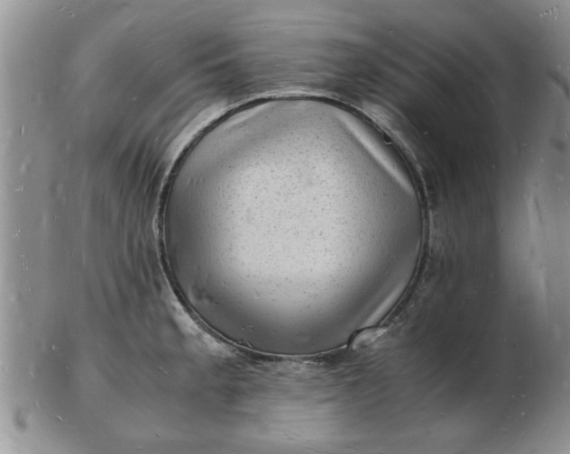 X0000103291189200809122000