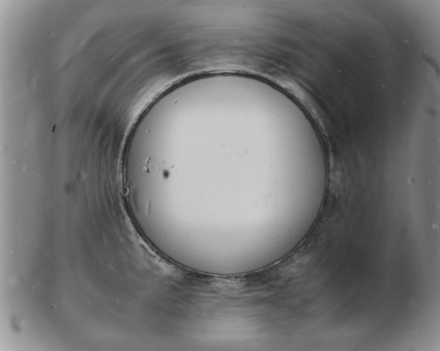 X0000103291191200809122000