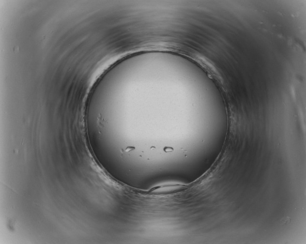 X0000103291192200809122000