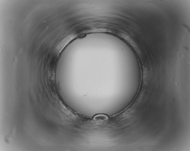 X0000103291193200809122000