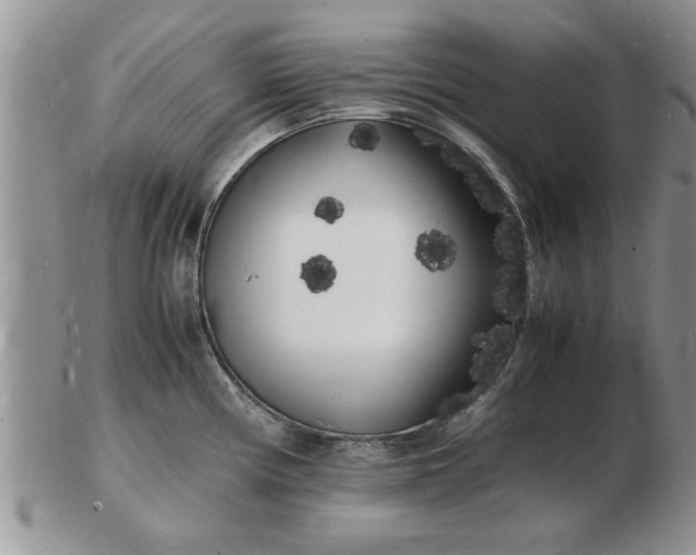 X0000103291194200809122000