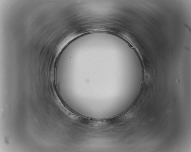 X0000103291195200809122000