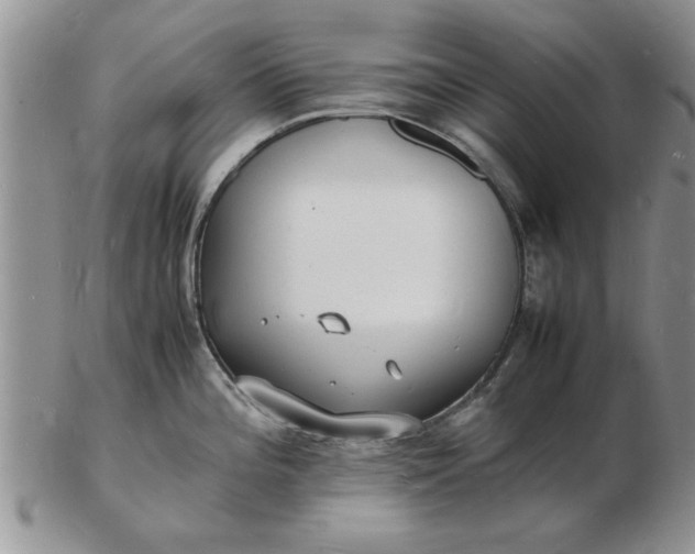 X0000103291196200809122000