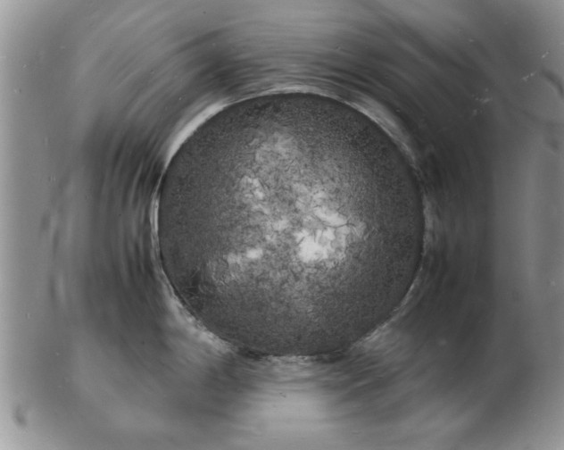 X0000103291198200809122000