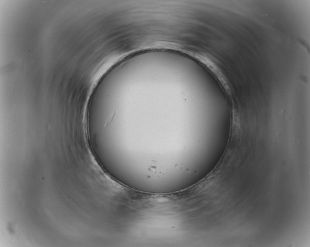 X0000103291199200809122000