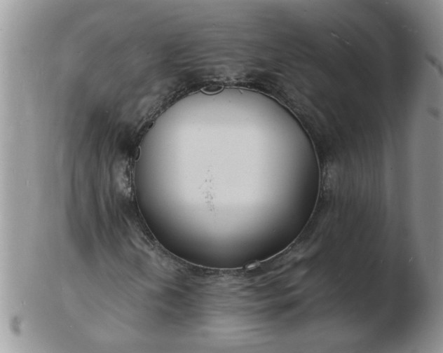 X0000103291202200809122000