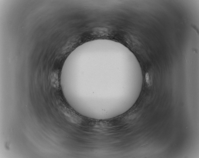 X0000103291203200809122000