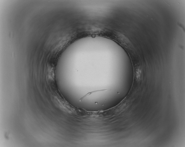 X0000103291204200809122000