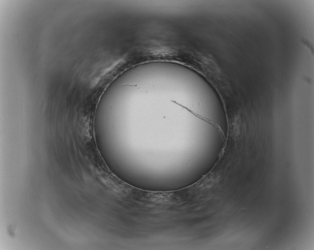 X0000103291205200809122000