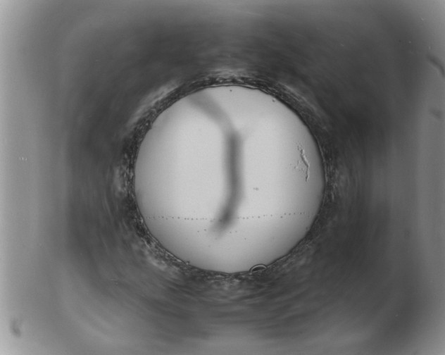 X0000103291207200809122000