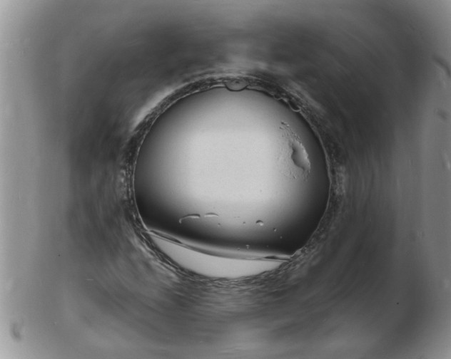 X0000103291208200809122000