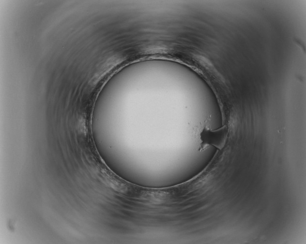 X0000103291209200809122000