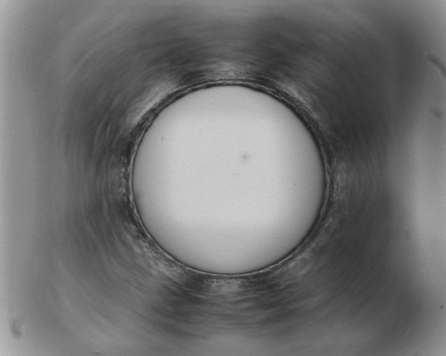 X0000103291211200809122000