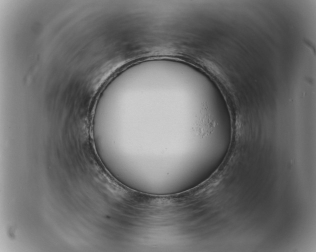 X0000103291212200809122000