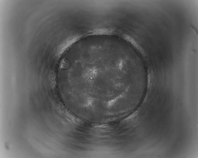 X0000103291213200809122000