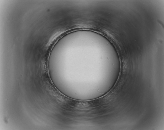 X0000103291215200809122000