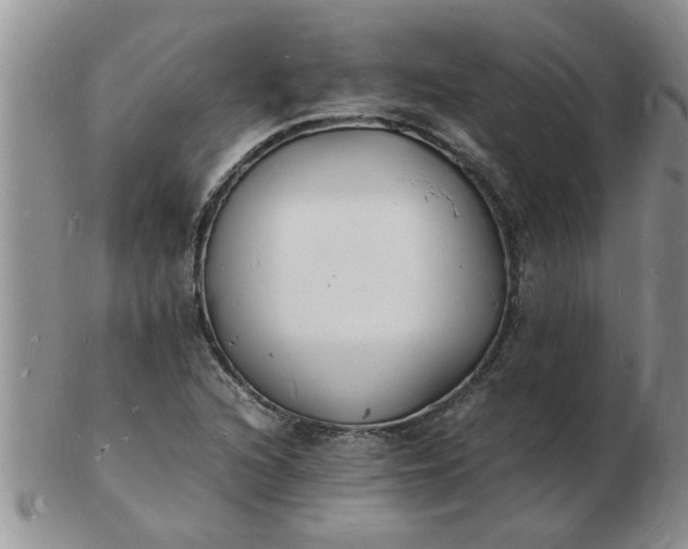 X0000103291216200809122000