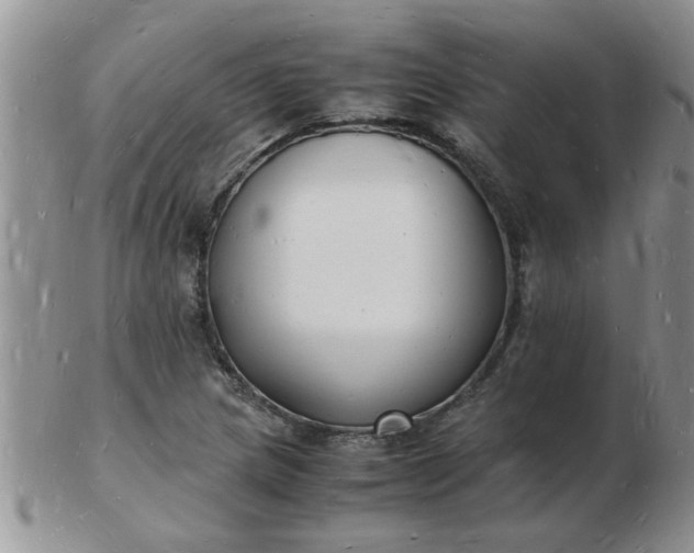 X0000103291217200809122000