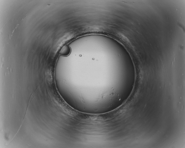 X0000103291218200809122000