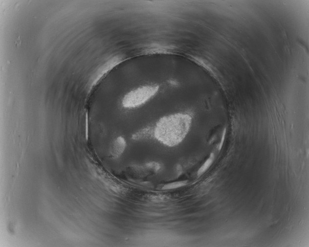 X0000103291219200809122000