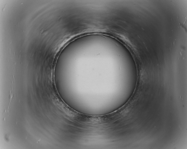 X0000103291220200809122000