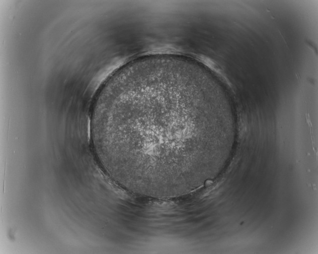 X0000103291221200809122000