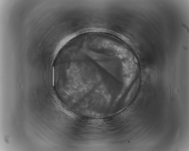 X0000103291223200809122000