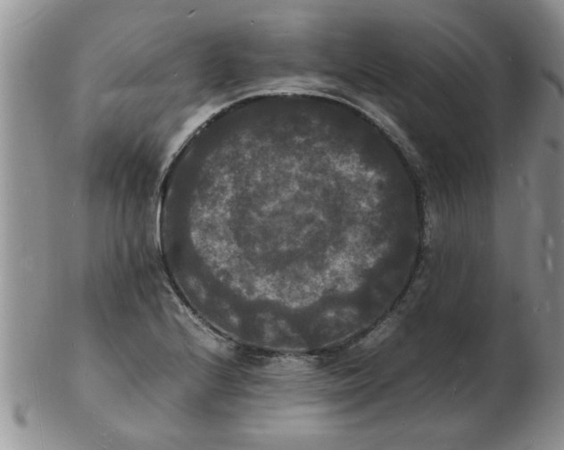 X0000103291224200809122000