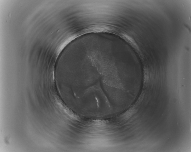 X0000103291226200809122000