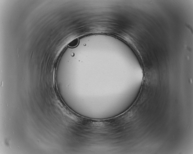 X0000103291227200809122000