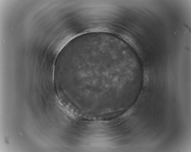 X0000103291228200809122000