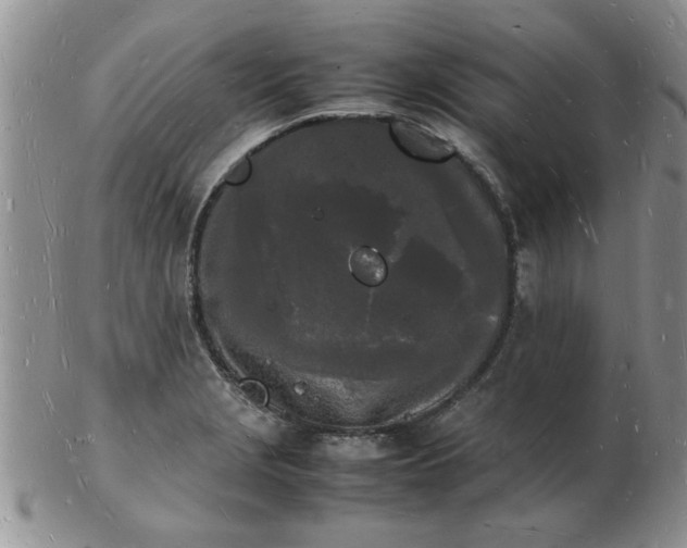 X0000103291229200809122000