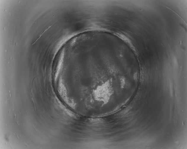 X0000103291231200809122000