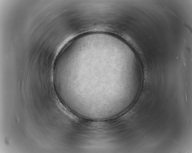 X0000103291232200809122000