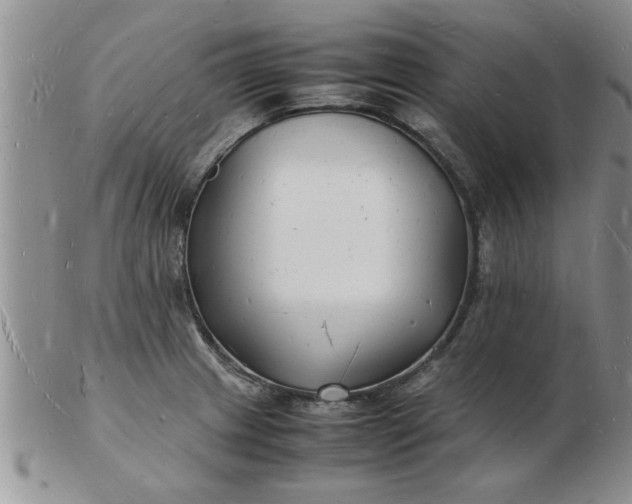 X0000103291233200809122000