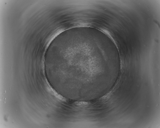 X0000103291235200809122000