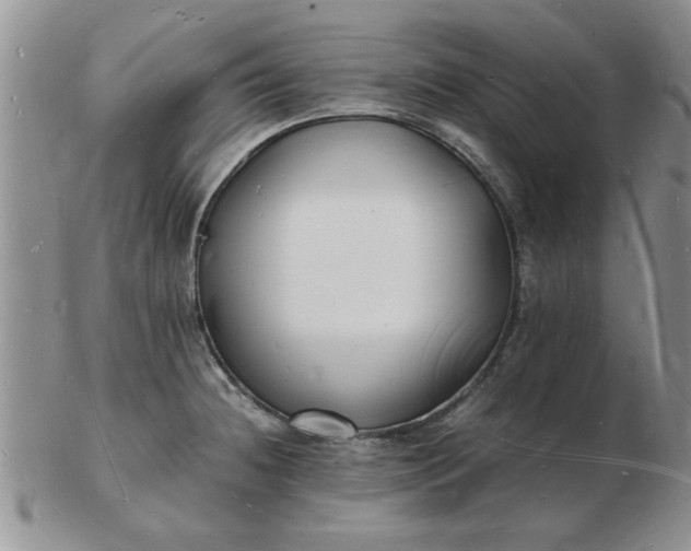 X0000103291236200809122000