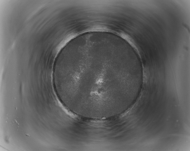 X0000103291237200809122000