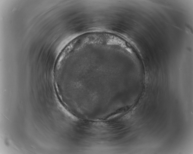 X0000103291239200809122000