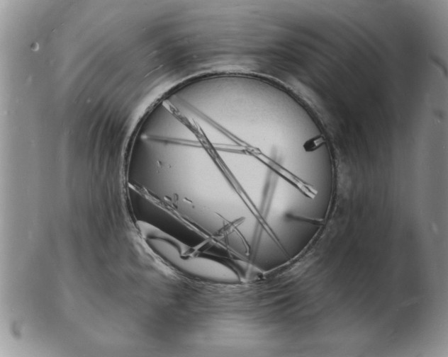 X0000103291240200809122000