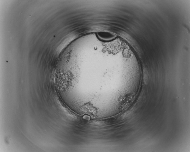 X0000103291241200809122000