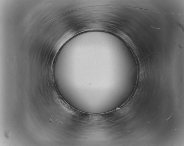 X0000103291242200809122000