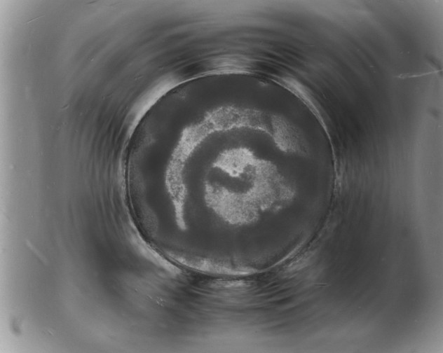 X0000103291243200809122000