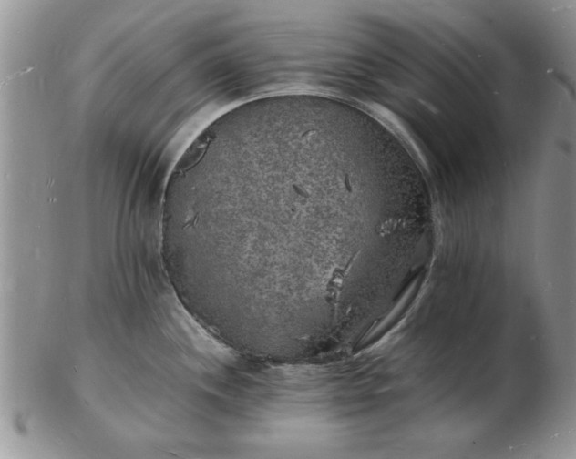 X0000103291244200809122000