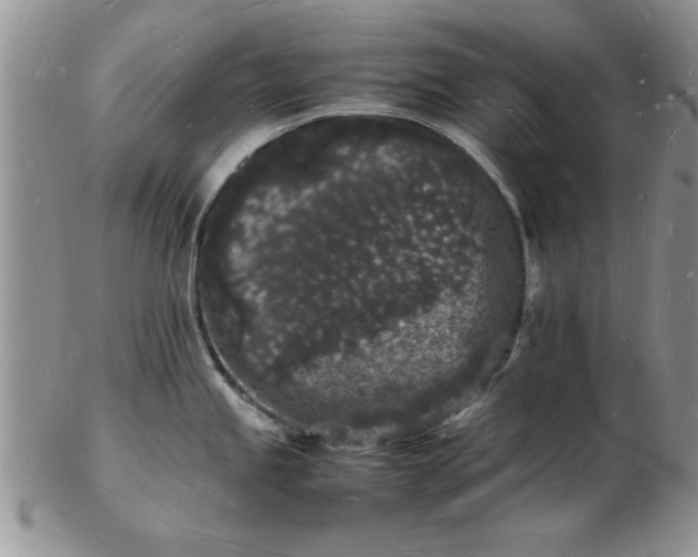 X0000103291245200809122000