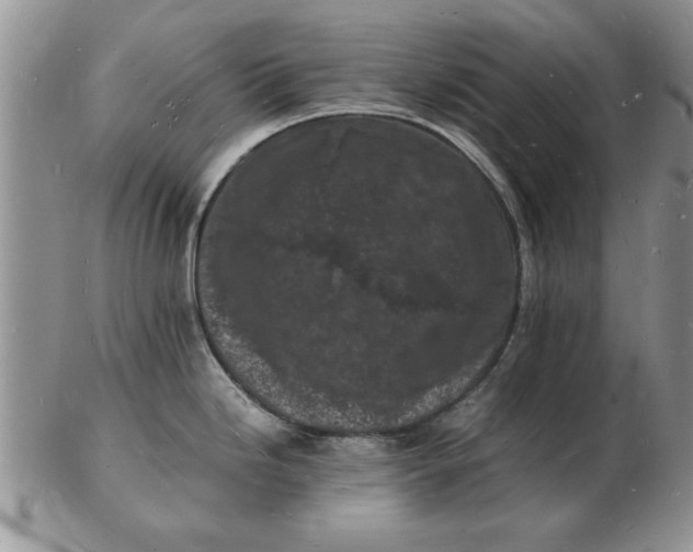 X0000103291246200809122000