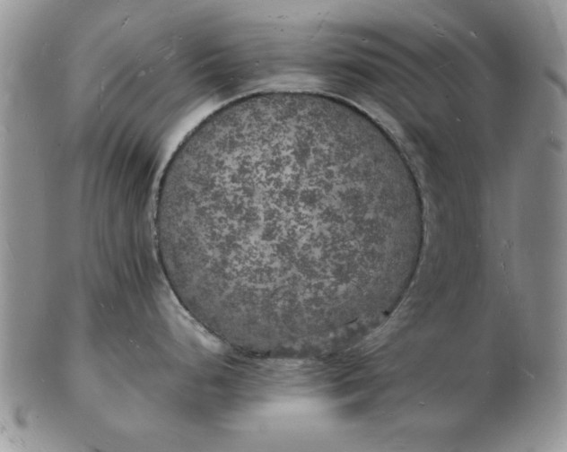 X0000103291248200809122000