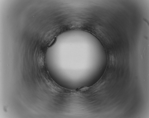 X0000103291250200809121959