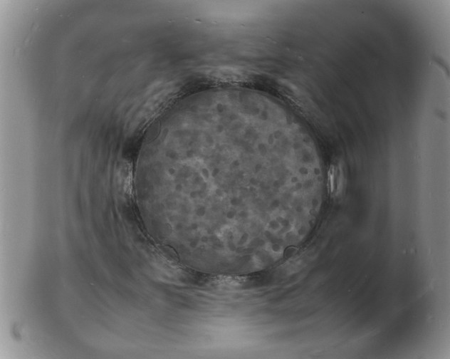 X0000103291251200809121959