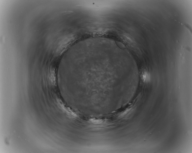 X0000103291252200809121959